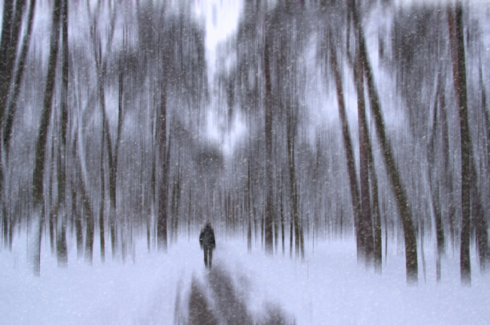 Alone von Alexander Kiyashko