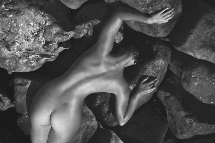 Between the stones von Alexander Pereverzov