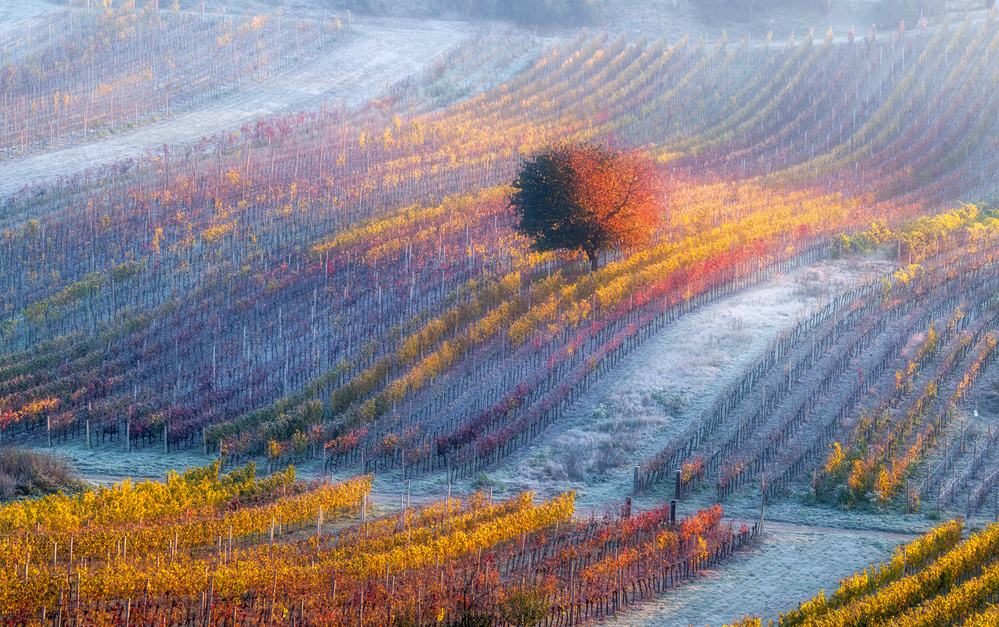 Breath of winter... von Alexandr Kukrinov