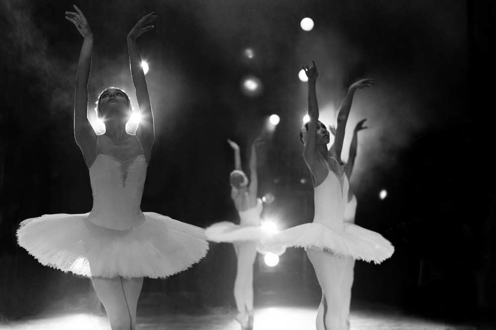 Swan Lake von Alexandr Pobat