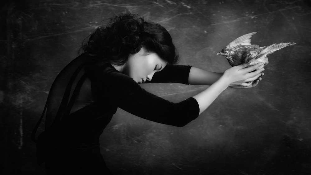 The Bird,1 von Alexandra Fira