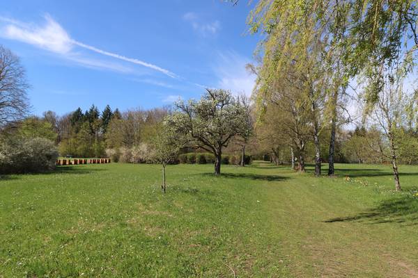Der Park im April von Alexandra  Joseph 