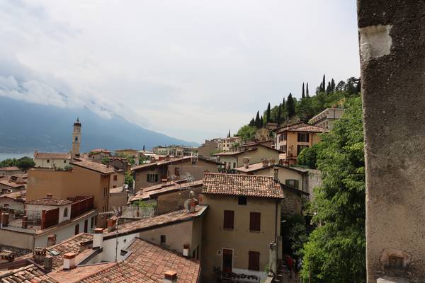 Limone von oben von Alexandra  Joseph 