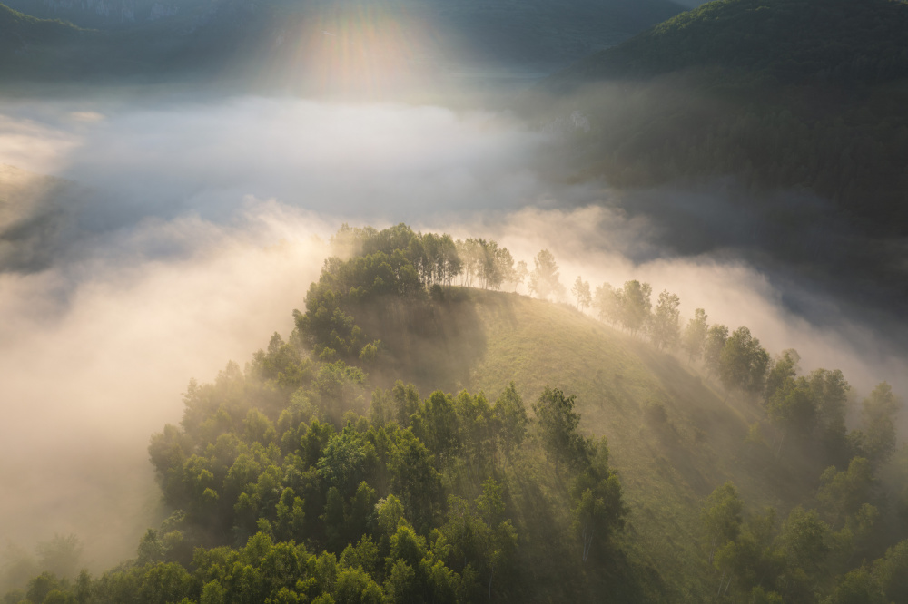 Above the foggy forest von Alexandru Ionut Coman