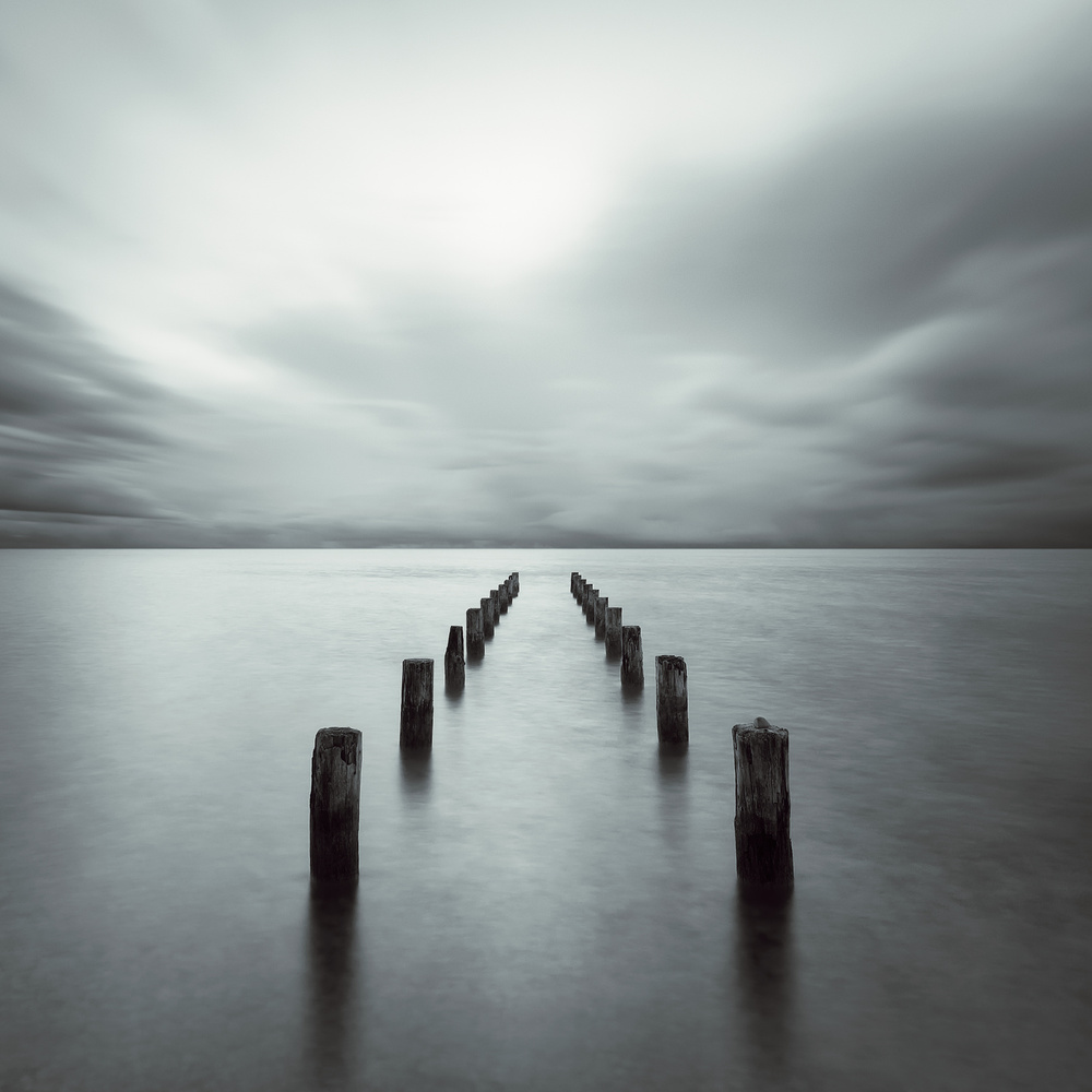 Disappeared von Alexej Schulz