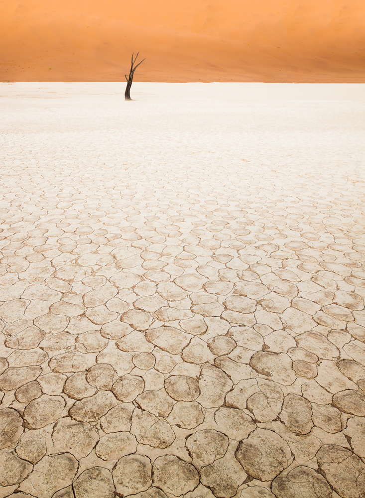 untitledl von Alexey Malashin