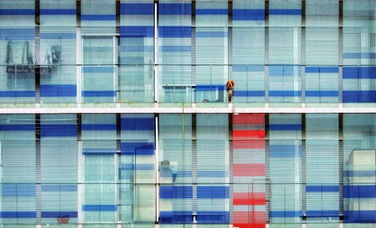 The Guardian von Alfonso Novillo