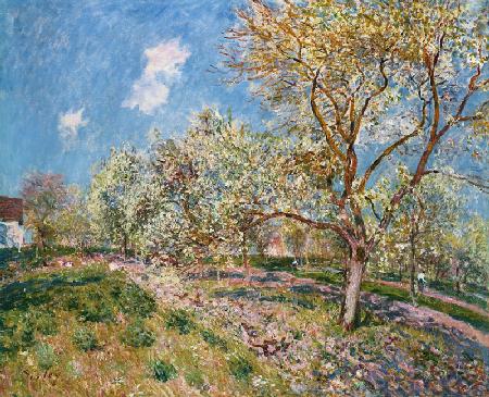 Springtime at Veneux