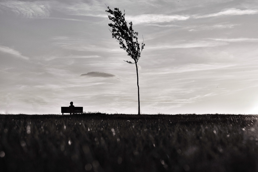 Çocuk ve Ağaç von Ali Ayer