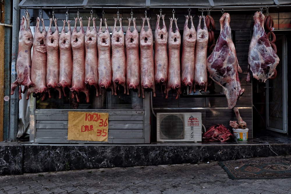 untitledl von Ali Ayer