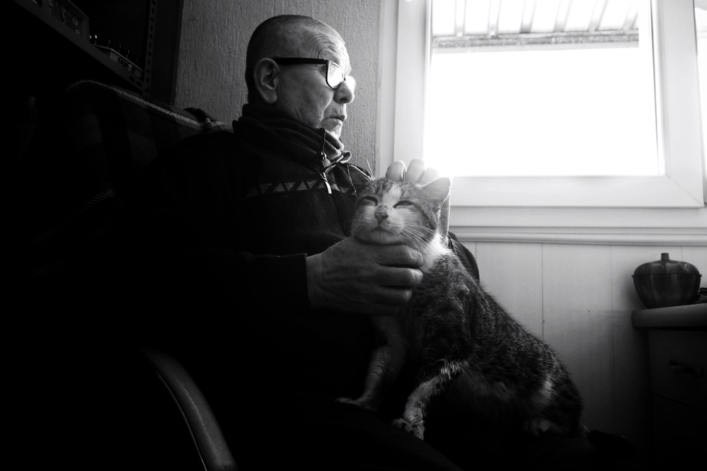 untitledl von Ali Ayer