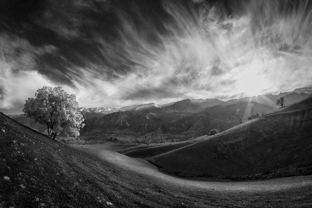 Good Morning von Ali Barootkoob