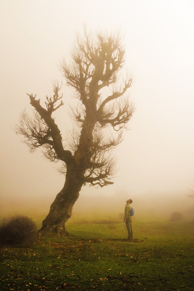 My only friend von ALI MEMARI