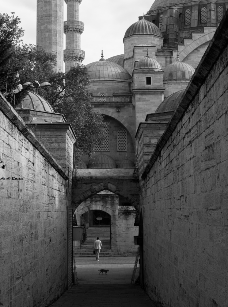 Divine Road von Alibaroodi