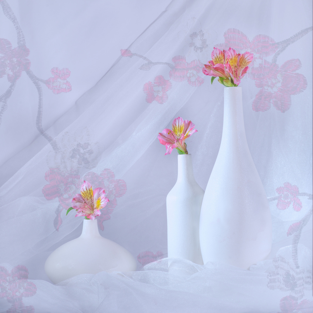 still life 29 von Alice Sheng