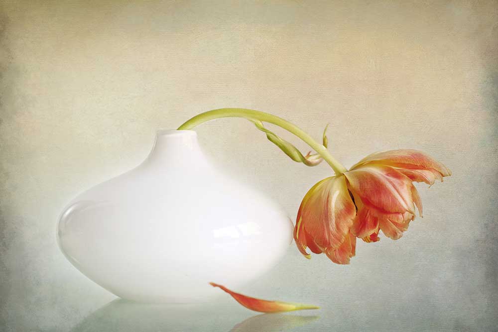 2lip von Alida Van Zaane