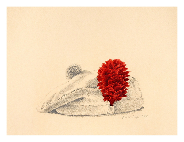 A Black Watch Red hackle von Alison  Cooper