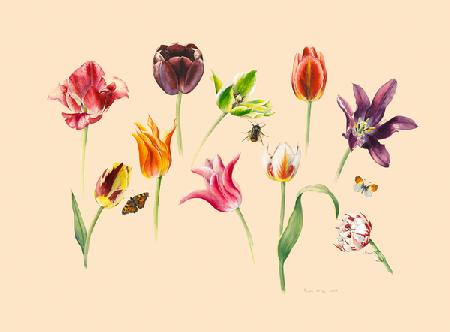 spring tulips and insects