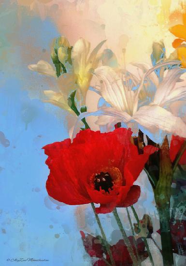 Poppy on blue