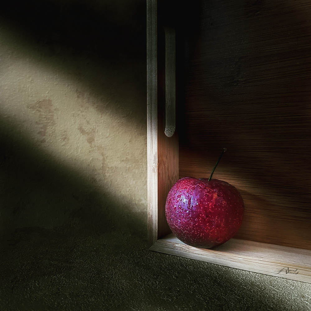 Spot light von Amal Ahmed