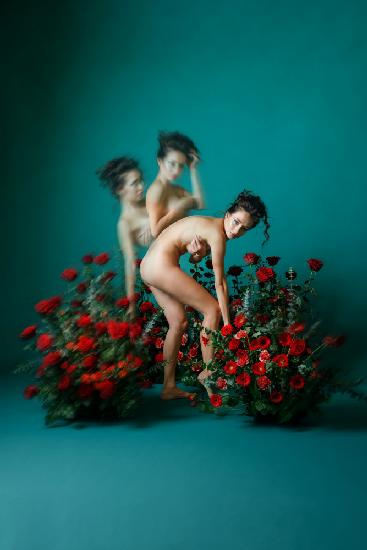 The Scarlet Letter (&quot;P&quot; is for Passion)