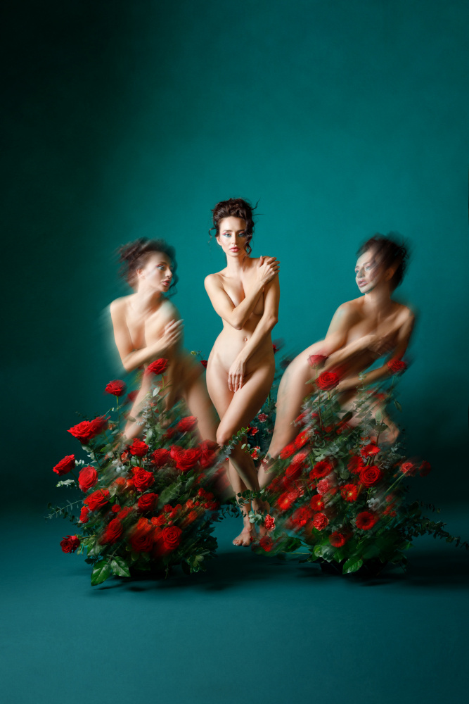 The Scarlet Letter ("P" is for Passion) von Amalya Shandelman