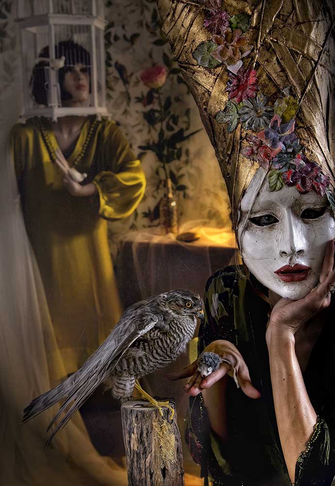 Fütterung von Ambra