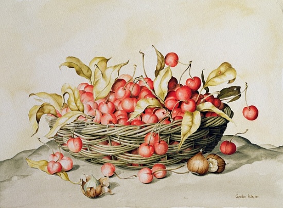 Basket of cherries von  Amelia  Kleiser