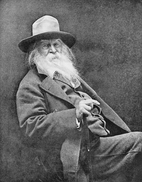 Walt Whitman (1819-91) (b/w photo)  von American Photographer