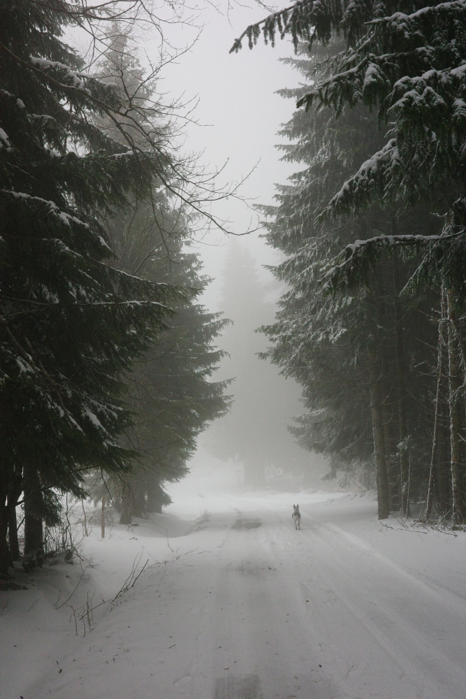 untitledl von Amila Balic Andonov