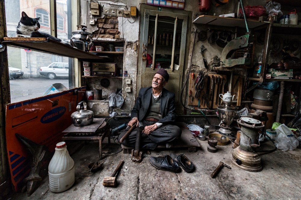 man and cat von AMIR ALI NAVADEH SHAHLA