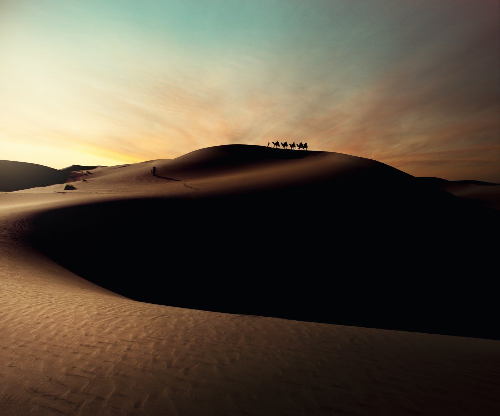 Shadows von Amirtourang