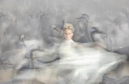 the carnes and the dancer