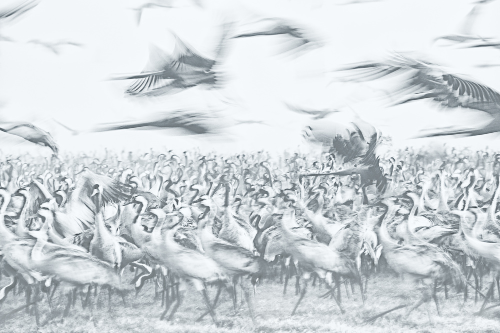 untitledl von Amnon Eichelberg