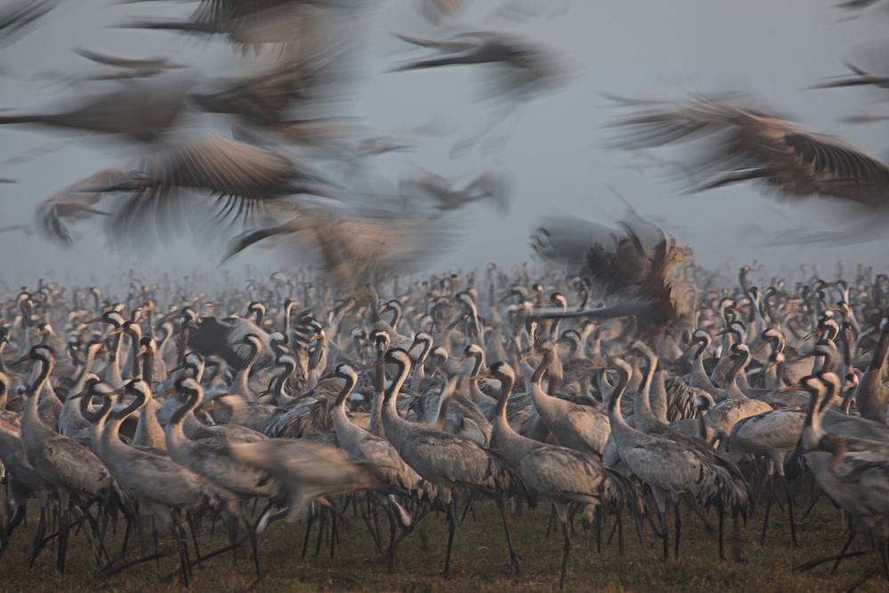 untitledl von Amnon Eichelberg