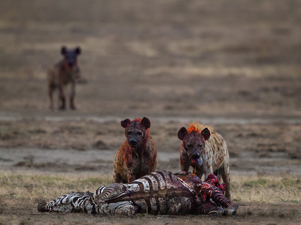 untitledl von Amnon Eichelberg
