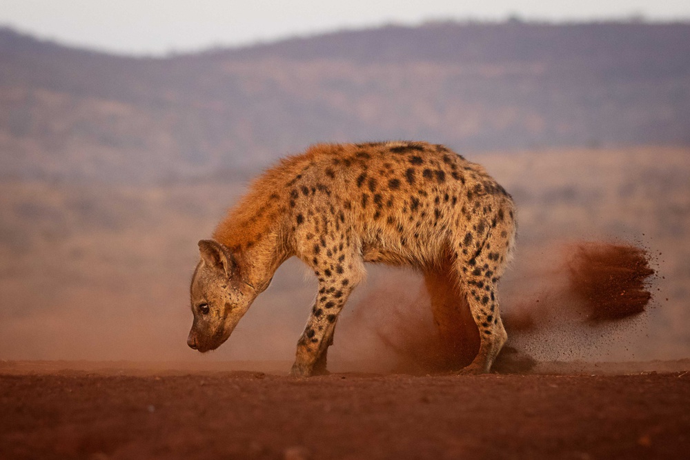 untitledl von Amnon Eichelberg