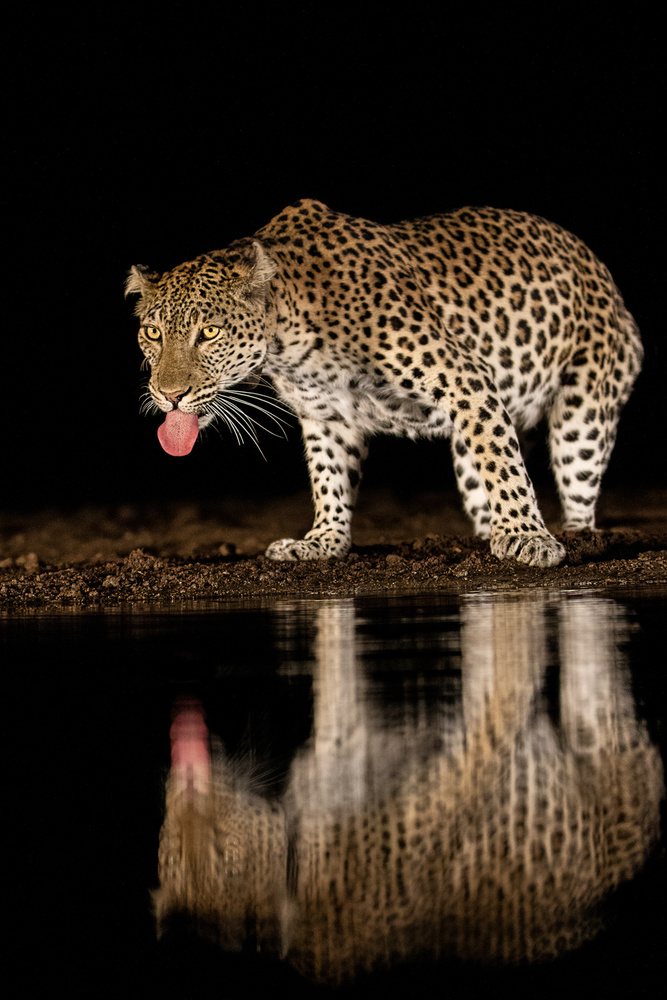 untitledl von Amnon Eichelberg