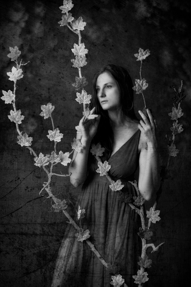 untitledl von Amnon Eichelberg