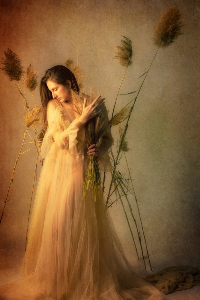 untitledl von Amnon Eichelberg