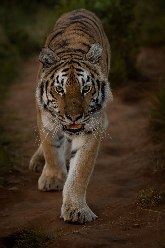 untitledl von Amnon Eichelberg