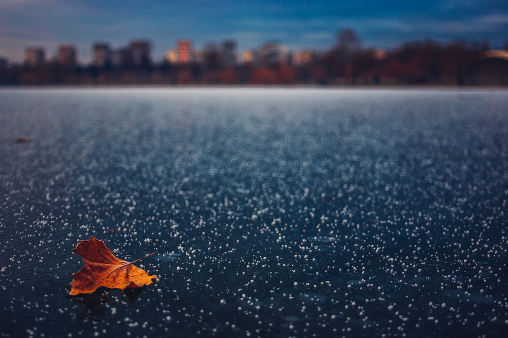 Winter stories von AnaDumitru