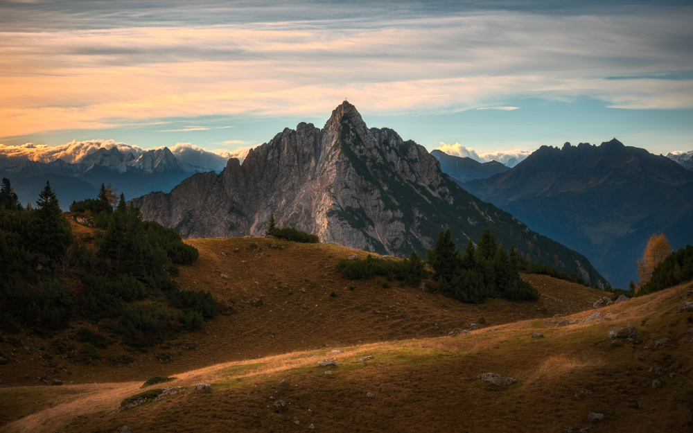 The light von Anastasios Gialopoulos