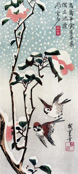 Sperlinge und Kamelien im Schnee