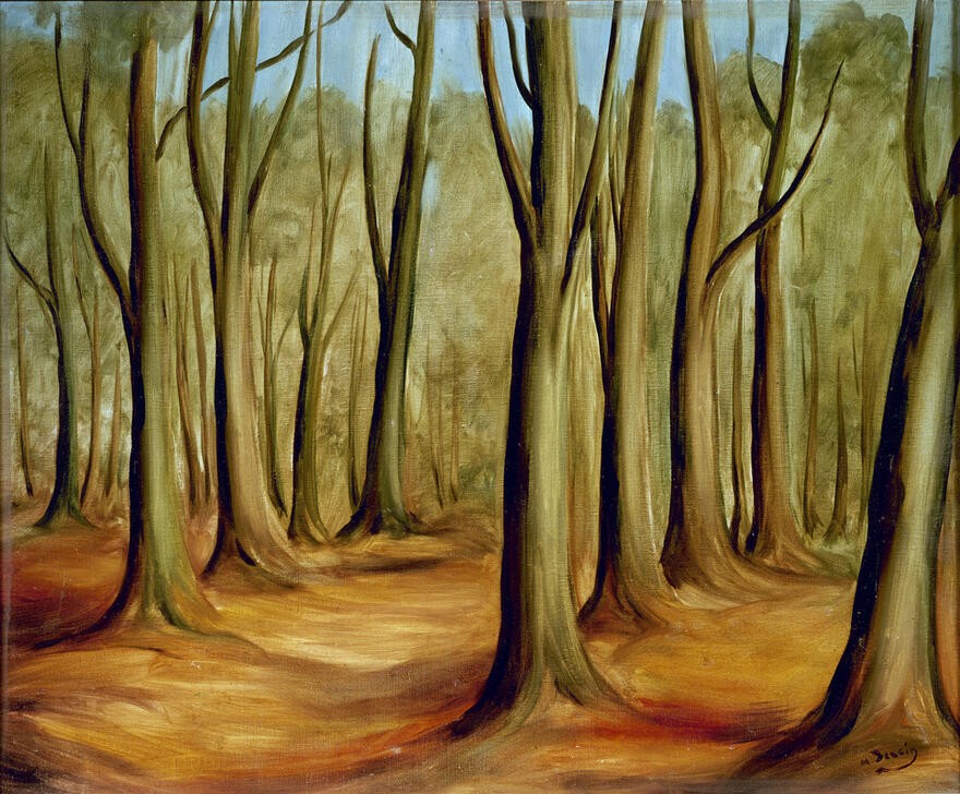 The Forest of Fonteinbleau von Andre Derain