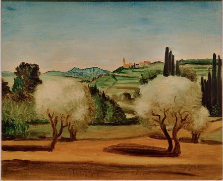 Landscape with olive trees
