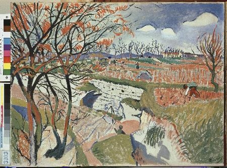 Vineyard Landscape in Spring