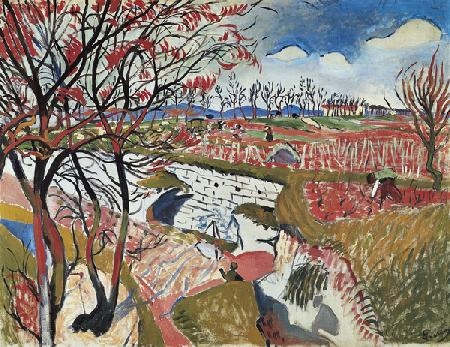 Vignoble au printemps