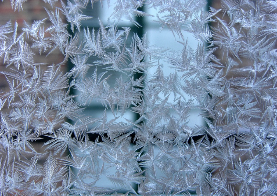 Hoar von André Pelletier