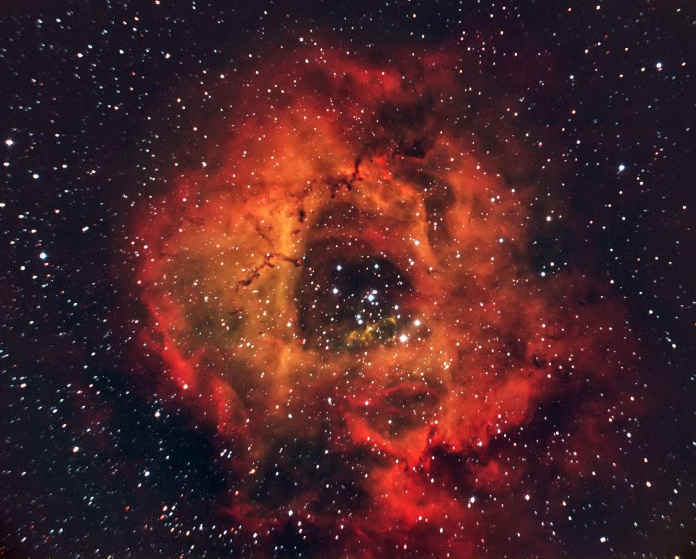 Die Rose am Himmel von Andrea Auf dem